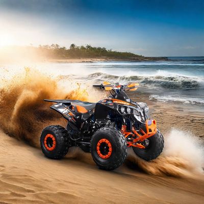 변속 체인 드라이브 125CC ATV 4 휠러 강력한 엔진과 CE 인증