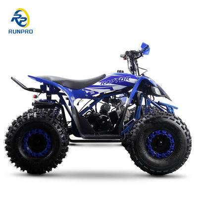 2024 4륜 전장형 차량 ATV 125cc 배량