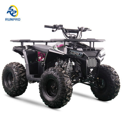 CE 인증을 받은 125cc 4타크 가솔린 해변 버그 8인치 바퀴와 150kg 최대 부하