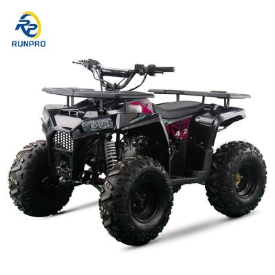 CE 인증을 받은 125cc 4타크 가솔린 해변 버그 8인치 바퀴와 150kg 최대 부하