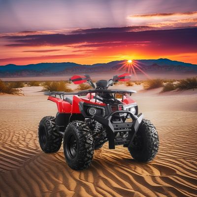 오프로드 10인치 타이어 200cc 250cc 성인 쿼드 ATV 자동 시작 및 체인 드라이브