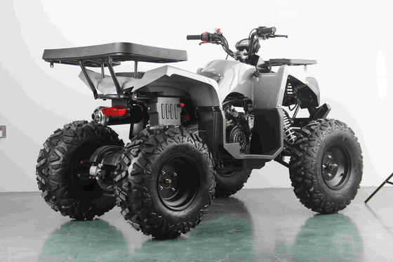 오프로드 10인치 타이어 200cc 250cc 성인 쿼드 ATV 자동 시작 및 체인 드라이브