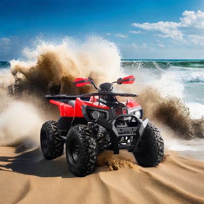 2024 오프로드 10인치 타이어 큰 ATV 150cc 200cc 250cc 성인 농장 쿼드 4 스트랙 CE와 함께 네 바퀴