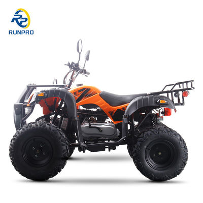 2024 스포츠 성인 ATV 가스 150cc 200cc 250cc 10 인치 타이어 전기 시작 재미있는 운전