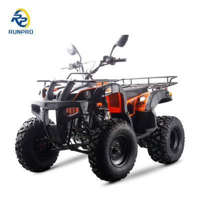 2024 스포츠 성인 ATV 가스 150cc 200cc 250cc 10 인치 타이어 전기 시작 재미있는 운전
