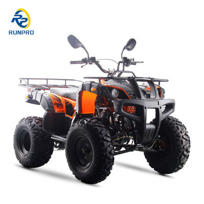 2024 스포츠 성인 ATV 가스 150cc 200cc 250cc 10 인치 타이어 전기 시작 재미있는 운전