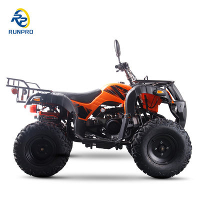 2024 스포츠 성인 ATV 가스 150cc 200cc 250cc 10 인치 타이어 전기 시작 재미있는 운전