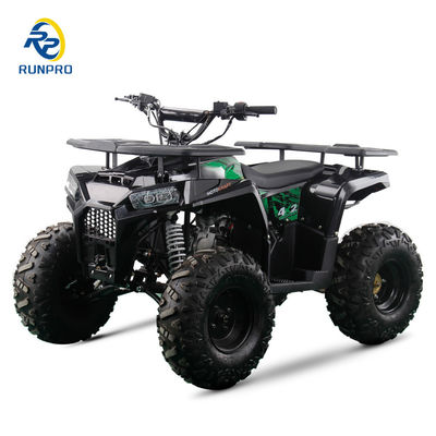 10인치 타이어 크기와 단일 실린더 엔진 125cc 2WD 성인용 가스 구동 ATV 쿼드