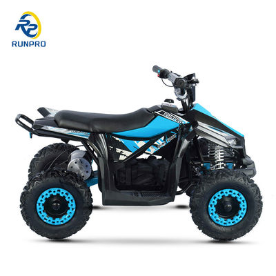 어린이 오프로드 스포츠 E-QUAD 전기 ATV 1000W 36V 브러쉬 모터와 CE 인증
