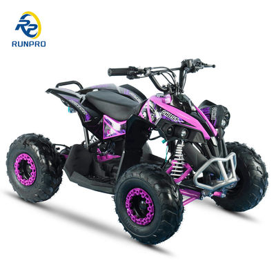 농장 전기 ATV 4바퀴 쿼드 사이클 셰프트 드라이브 모터 페이로드 용량 ≤100kg