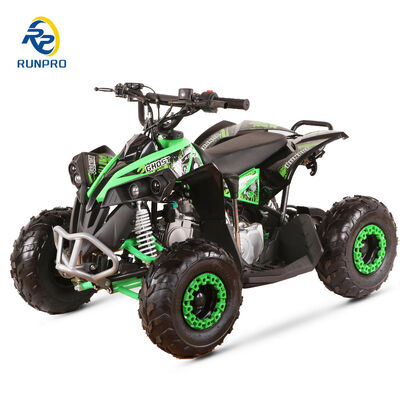70cc 110cc 전기 ATV 쿼드바이크 큰 힘과 2WD 운전 타입 좌석 높이 540MM