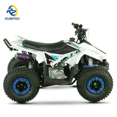540MM 좌석 높이 스포츠 ATV 쿼드바이크 70CC 110CC 가스 2WD 12V 전압 모델