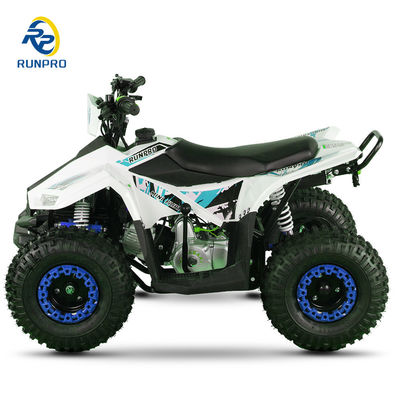 540MM 좌석 높이 스포츠 ATV 쿼드바이크 70CC 110CC 가스 2WD 12V 전압 모델