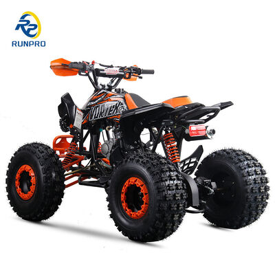 런프로 125cc 쿼드 ATV CE 인증 2WD 전기 시작 쿼드 성인 연료와 강력한