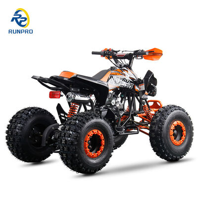 런프로 125cc 쿼드 ATV CE 인증 2WD 전기 시작 쿼드 성인 연료와 강력한