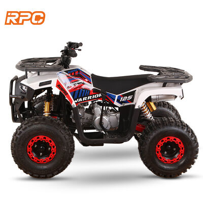 110cc 125cc 150cc 4타크 가스 가동 어린이 쿼드 자전거 ATV 자동 변속기
