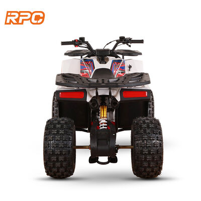 110cc 125cc 150cc 4타크 가스 가동 어린이 쿼드 자전거 ATV 자동 변속기