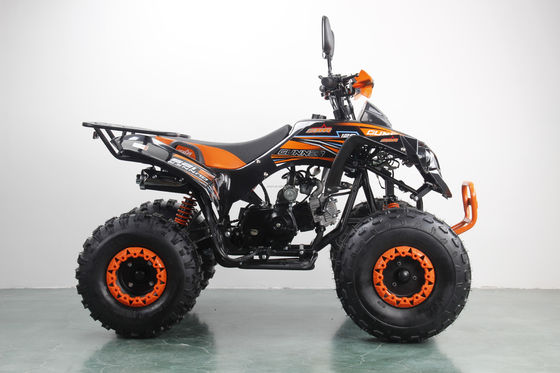 125cc 4타크 ATV 8인치 타이어와 CE 전지 차량의 어린이 오토바이크