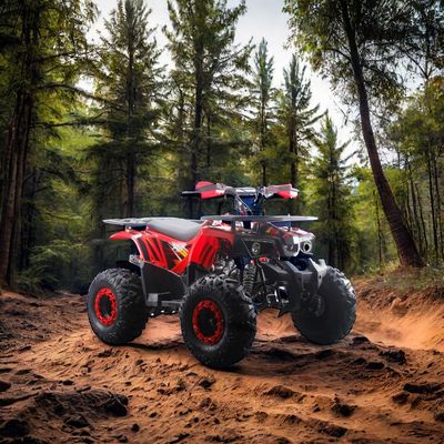 125cc 어린이 ATV 자동 변속기와 장착되지 않은 차차 잠금