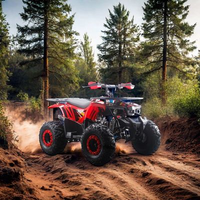 어린이용 125cc ATV RunPro 2024 전기 시작 농장 쿼드 자전거 체인 드라이브 CE 자동
