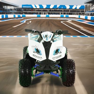 셰프트 드라이브 모터와 빅 휠 디자인을 가진 1200W 전기 ATV 4륜 쿼드 자전거