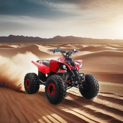 1500W 모터와 48V12AH 납산 배터리로 CE 인증 전기 어린이 ATV 쿼드 자전거