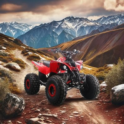 1500W 모터와 48V12AH 납산 배터리로 CE 인증 전기 어린이 ATV 쿼드 자전거