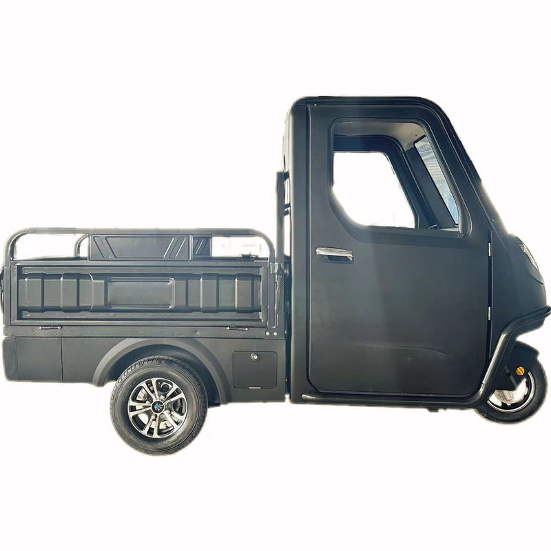 가족용 1000/1200/2000/3000W 전기 삼륜자전거 3륜 전자 자전거 및 Pedicab