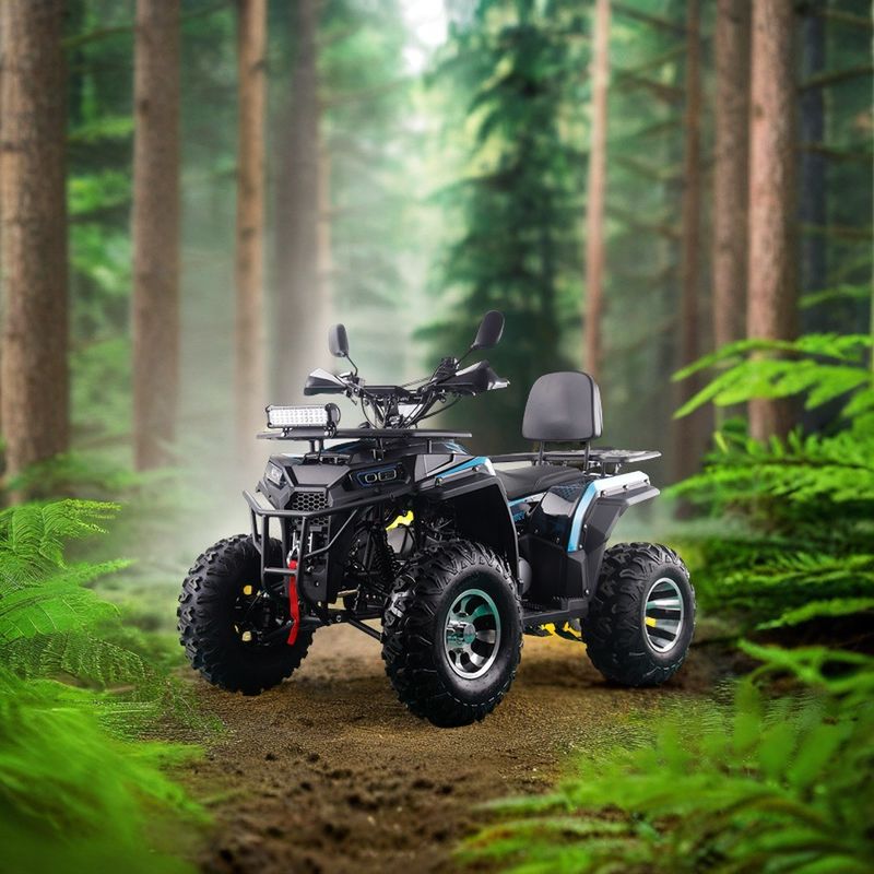 200cc ATV 250cc ATV 성인 ATV 사륜구동 체인 드라이브 및 1000W 전기 당기 시작