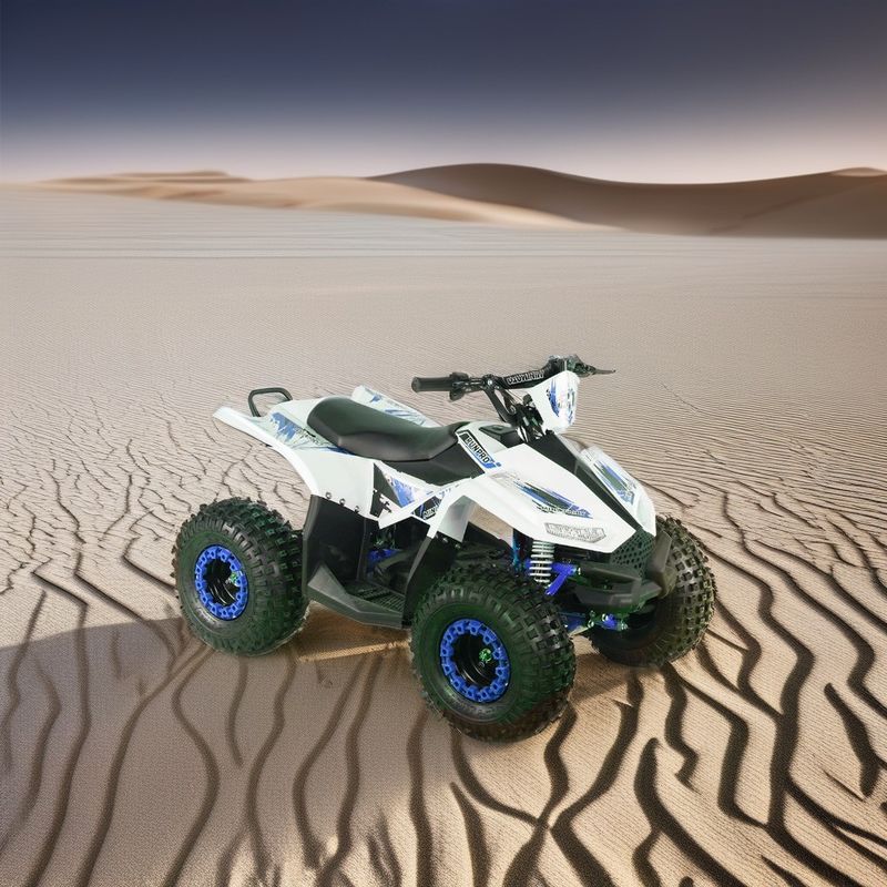 2024 십대 4x4 1000W 48V 1200W 전기 샤프트 드라이브 쿼드 자전거 전기 쿼드 ATV