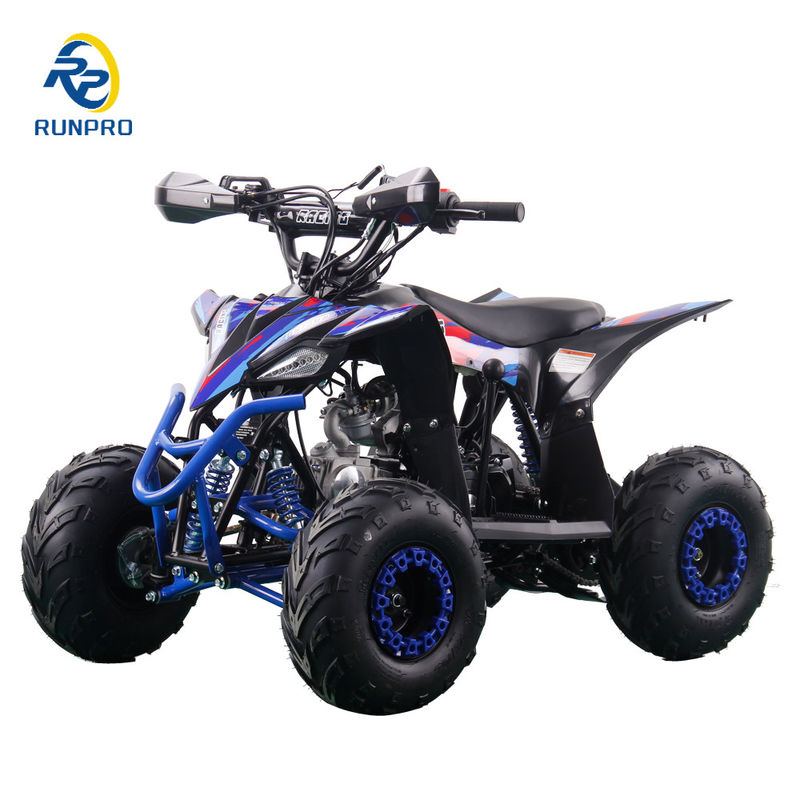 110cc 4타크 가스 ATV 4륜 6인치 타이어 쿼드 자전거 변속기 타입 자동