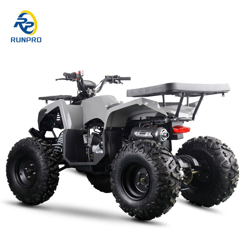 200cc 10인치 스틸 휠 2WD ATV 오프로드 4륜 모터사이클 UTV 농장 모터 쿼드 자전거