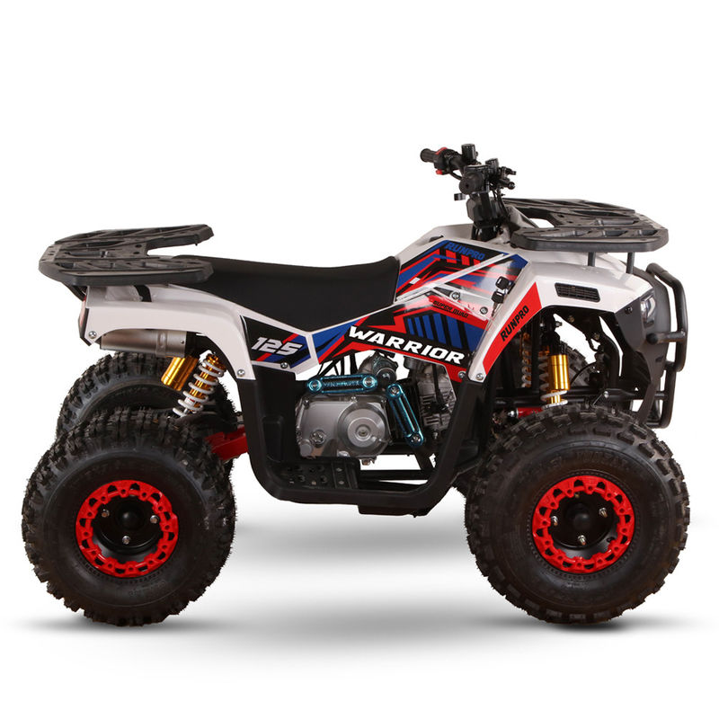 성인용 전지 110cc 125cc 쿼드바이크 최대 부하 150kg 체인 드라이브 변속기