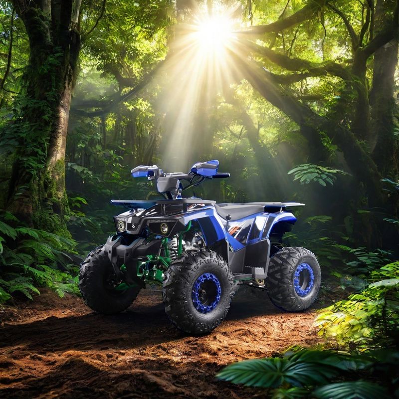 강력한 125cc 가스 연료 ATV 쿼드 2WD 운전 유형과 흥미로운 기능