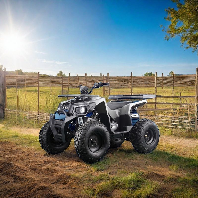 성인을 위한 강력한 200cc 가스 ATV 최대 토크 40-60Nm 최고 속도 75km/h