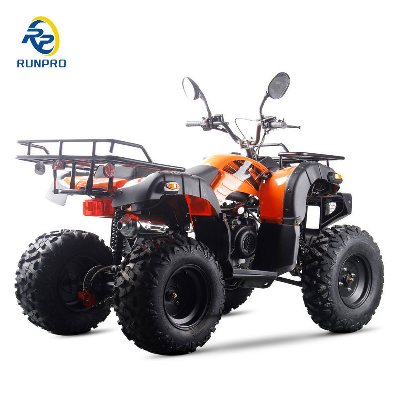 2024 스포츠 성인 ATV 가스 150cc 200cc 250cc 10 인치 타이어 전기 시작 재미있는 운전