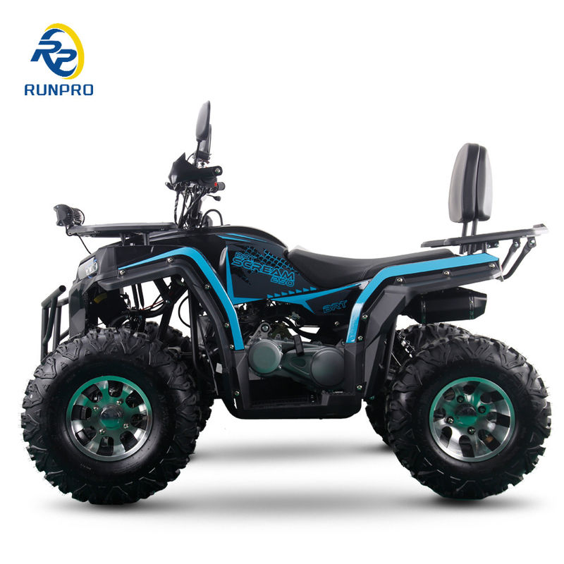 150cc 200cc 250cc 2WD ATVs UTVs 도로 전기 시작 4륜 오프로드 오토바이